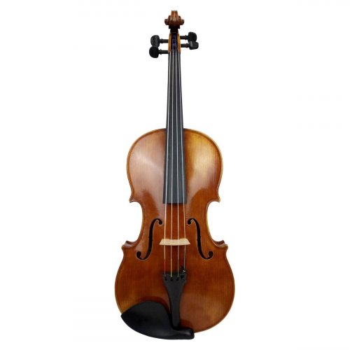 Viola 22182 Stefan Rehms