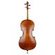 Historisches Cello "Stradivarius"